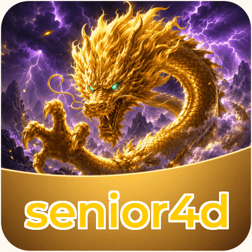 senior4d APK Structure
